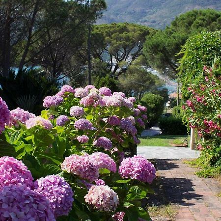 Villa Mesco Levanto Eksteriør billede