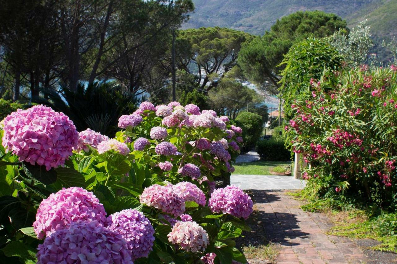 Villa Mesco Levanto Eksteriør billede